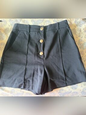 Zara Black Skirt